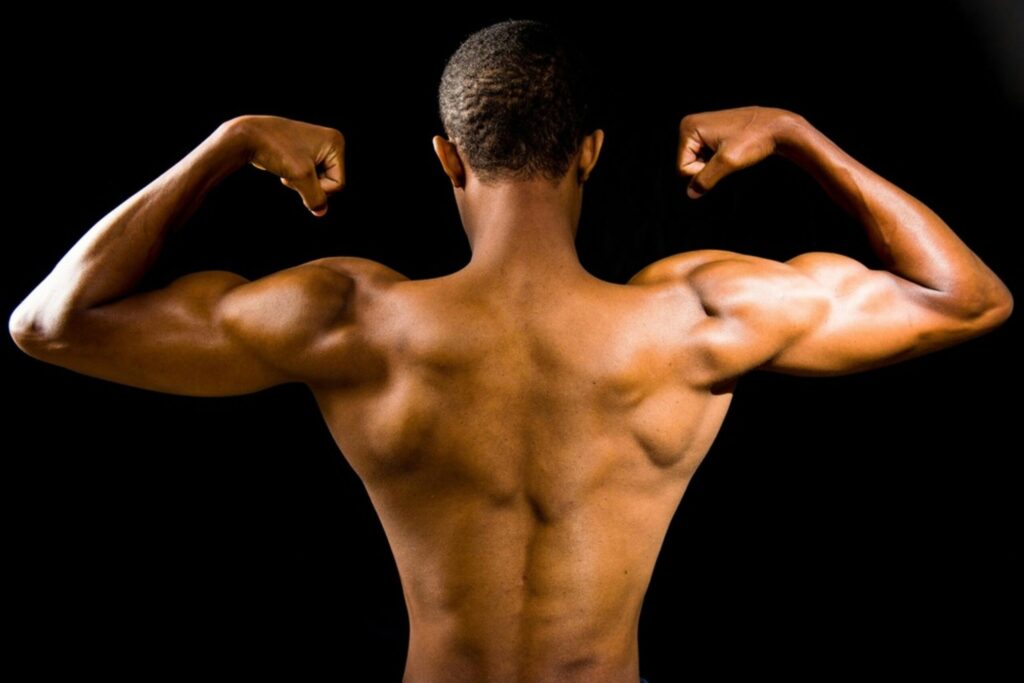 筋トレで鍛えられる筋肉の構造と超回復のメカニズムイメージ