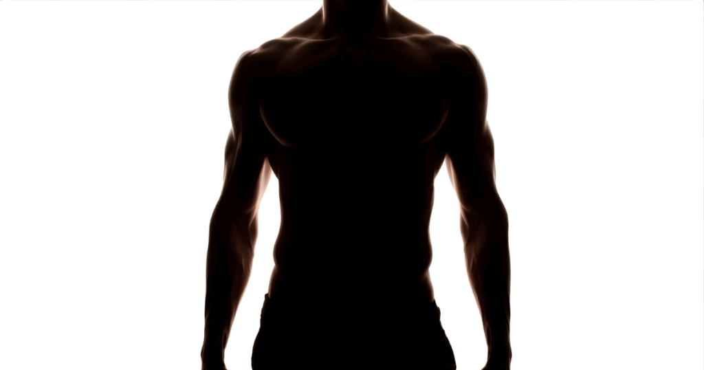 引き締まった体のシルエット・筋トレで手に入れた美しい体型